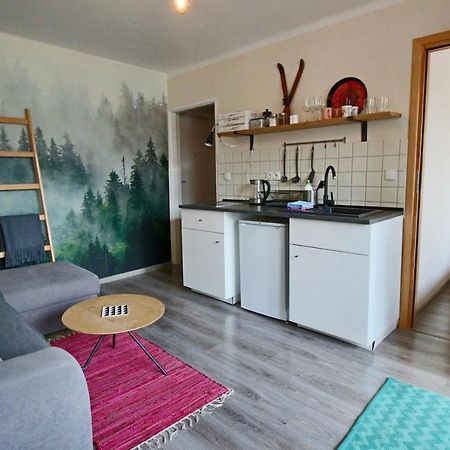 Apartament Bazatatry Sloneczny II Apartman Zakopane Kültér fotó