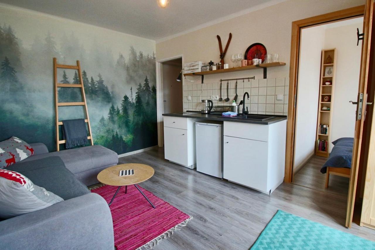 Apartament Bazatatry Sloneczny II Apartman Zakopane Kültér fotó