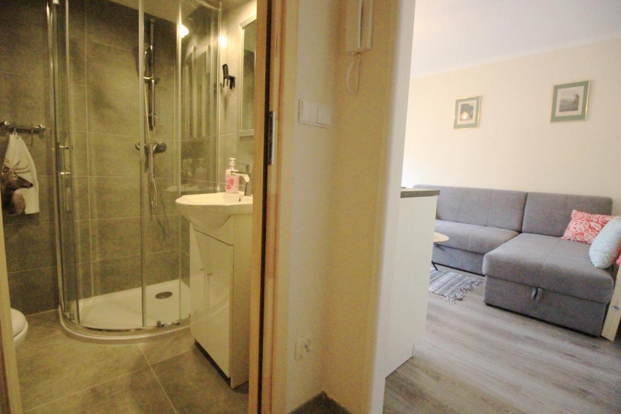 Apartament Bazatatry Sloneczny II Apartman Zakopane Kültér fotó